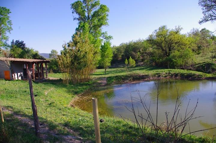 Hotel Domaine De Chadeyron Lagorce  Zewnętrze zdjęcie