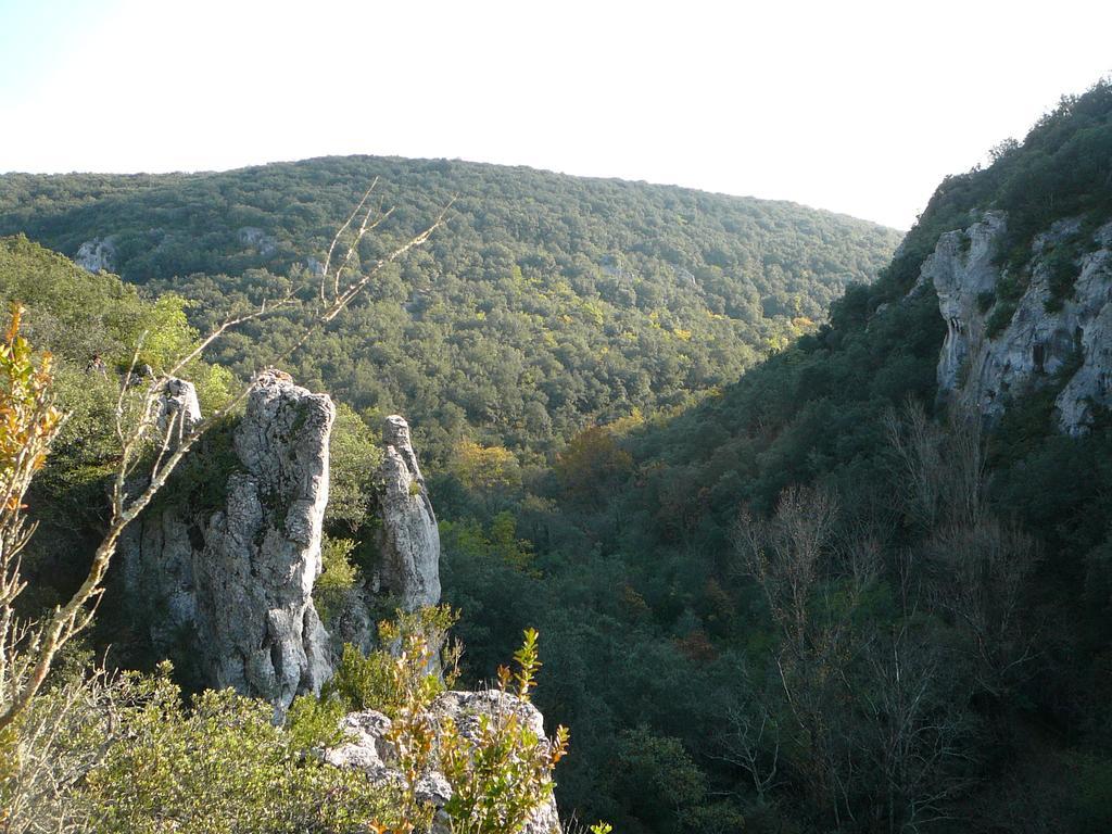 Hotel Domaine De Chadeyron Lagorce  Zewnętrze zdjęcie
