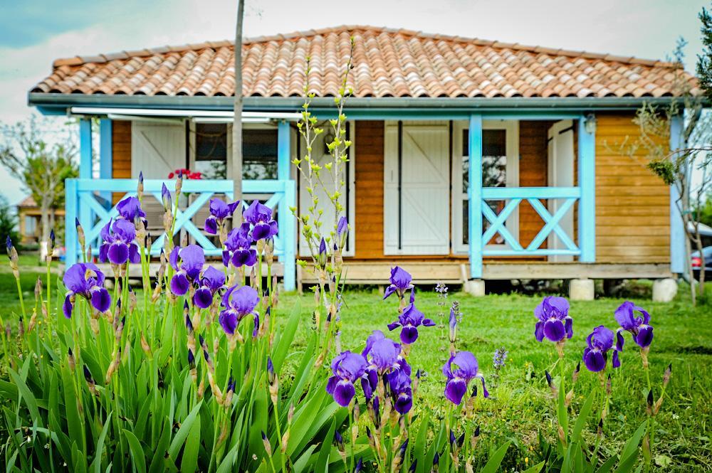Hotel Domaine De Chadeyron Lagorce  Zewnętrze zdjęcie